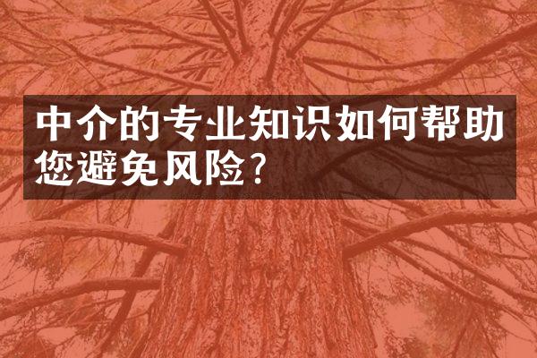 中介的专业知识如何帮助您避免风险？