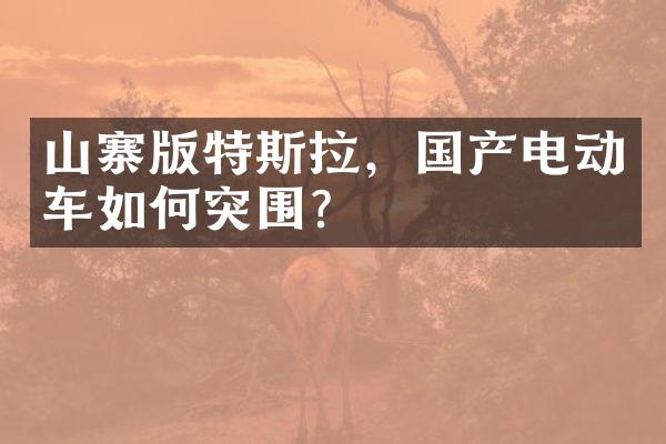 山寨版特斯拉，国产电动车如何突围？