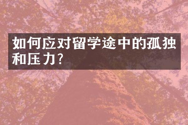 如何应对留学途中的孤独和压力？