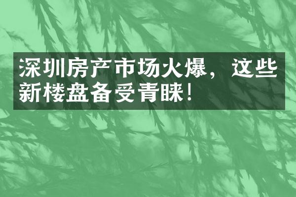 深圳房产市场火爆，这些新楼盘备受青睐！