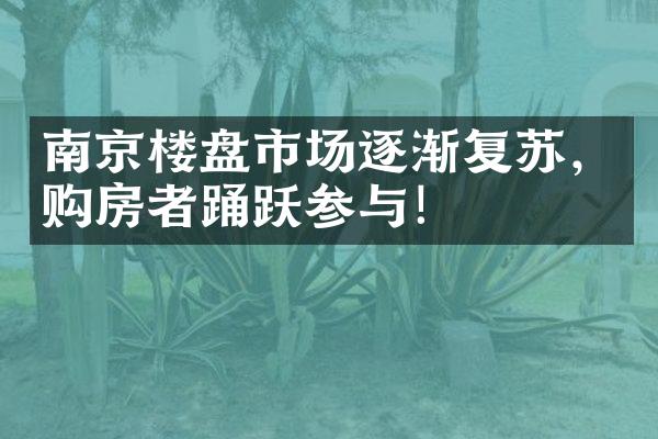 南京楼盘市场逐渐复苏，购房者踊跃参与！