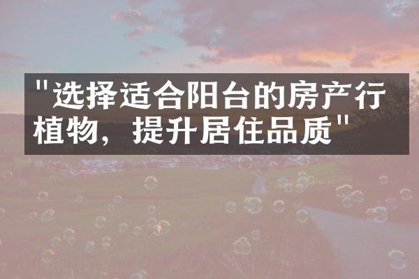 "选择适合阳台的房产行业植物，提升居住品质"