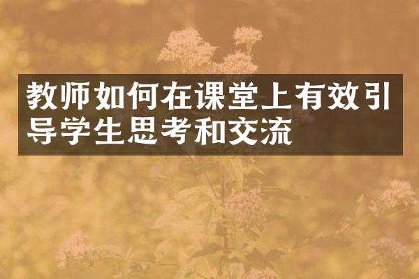 教师如何在课堂上有效引导学生思考和交流