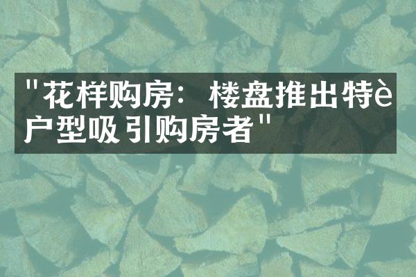 "花样购房：楼盘推出特色户型吸引购房者"