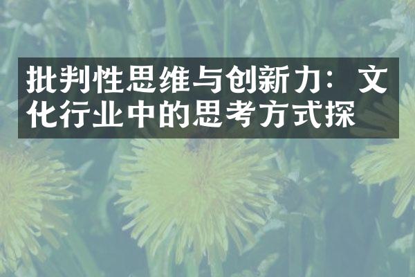 批判性思维与创新力：文化行业中的思考方式探索