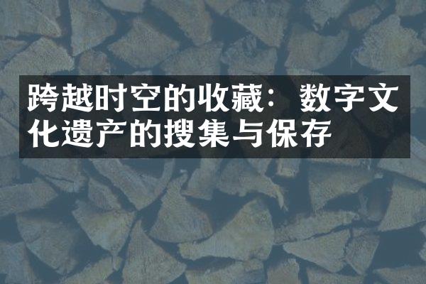 跨越时空的收藏：数字文化遗产的搜集与保存