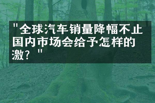 "全球汽车销量降幅不止，国内市场会给予怎样的刺激？"