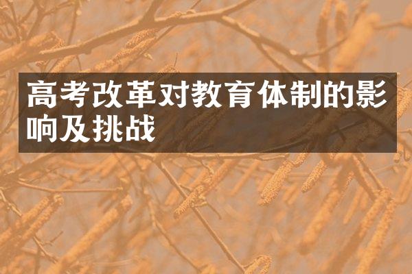 高考对教育体制的影响及挑战