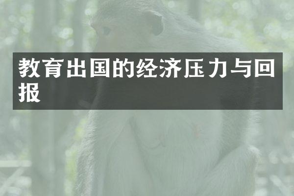 教育出国的经济压力与回报