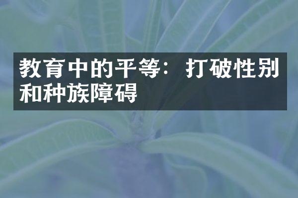 教育中的平等：打破性别和种族障碍