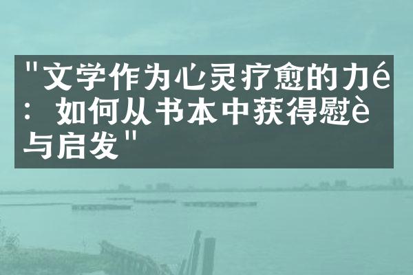 "文学作为心灵疗愈的力量：如何从书本中获得慰藉与启发"