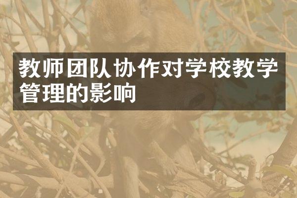 教师团队协作对学校教学管理的影响