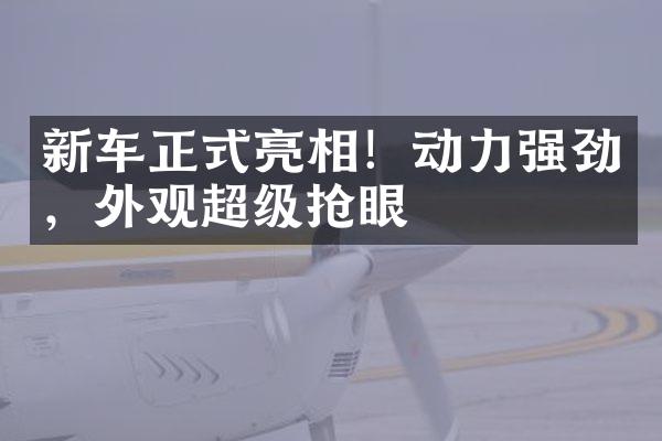 新车正式亮相！动力强劲，外观超级抢眼