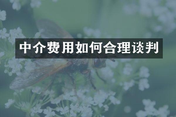 中介费用如何合理谈判