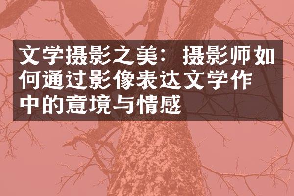 文学摄影之美：摄影师如何通过影像表达文学作品中的意境与情感