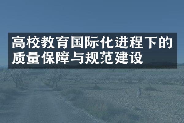 高校教育国际化进程下的质量保障与规范