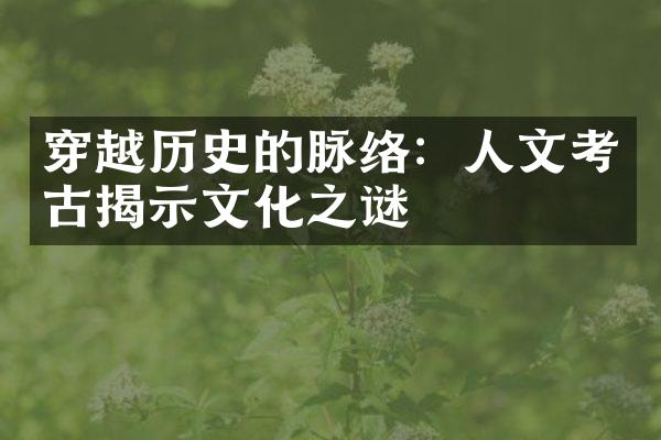 穿越历史的脉络：人文考古揭示文化之谜