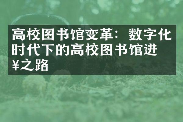 高校图书馆变革：数字化时代下的高校图书馆进步之路