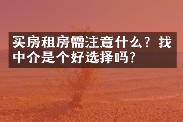 买房租房需注意什么？找中介是个好选择吗？