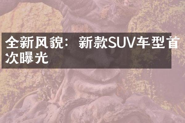 全新风貌：新款SUV车型首次曝光