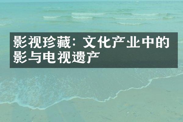 影视珍藏: 文化产业中的电影与电视遗产