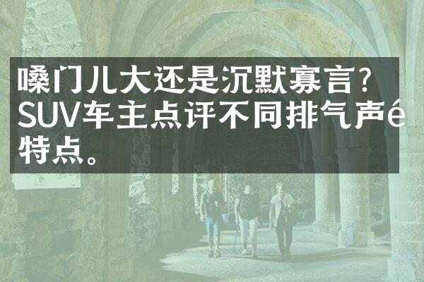 嗓门儿大还是沉默寡言？SUV车主点评不同排气声音特点。