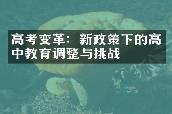 高考变革：新政策下的高中教育调整与挑战