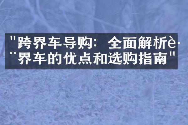 "跨界车导购：全面解析跨界车的优点和选购指南"