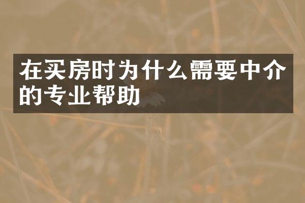 在买房时为什么需要中介的专业帮助