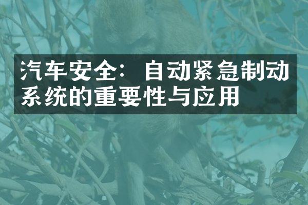 汽车安全：自动紧急制动系统的重要性与应用