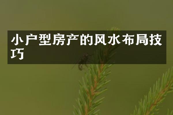 小户型房产的风水布局技巧