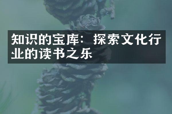 知识的宝库：探索文化行业的读书之乐