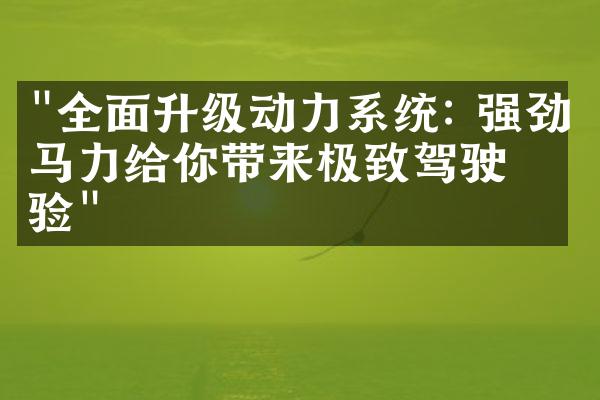 "全面升级动力系统: 强劲马力给你带来极致驾驶体验"