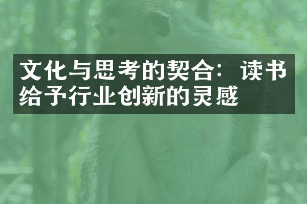 文化与思考的契合：读书给予行业创新的灵感