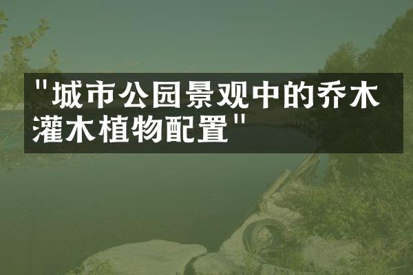 "城市公园景观中的乔木与灌木植物配置"