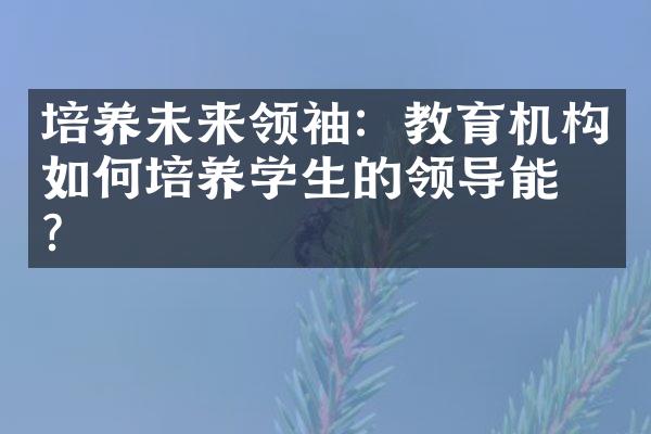 培养未来领袖：教育机构如何培养学生的领导能力？