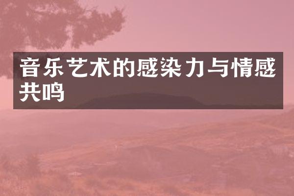 音乐艺术的感染力与情感共鸣