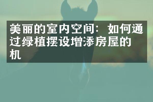 美丽的室内空间：如何通过绿植摆设增添房屋的生机