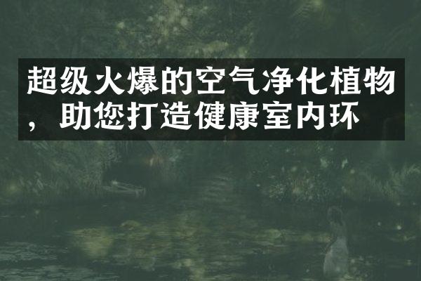 超级火爆的空气净化植物，助您打造健康室内环境