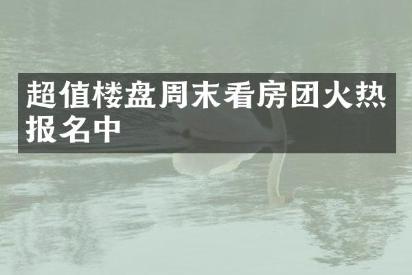 超值楼盘周末看房团火热报名中