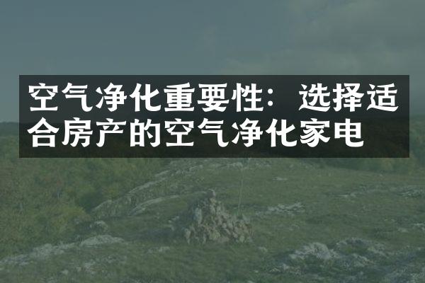 空气净化重要性：选择适合房产的空气净化家电