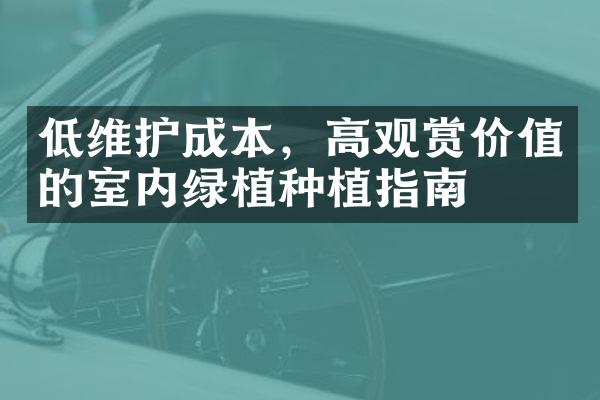 低维护成本，高观赏价值的室内绿植种植指南