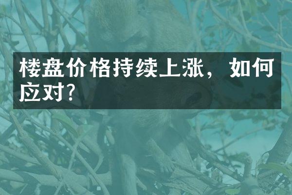 楼盘价格持续上涨，如何应对？