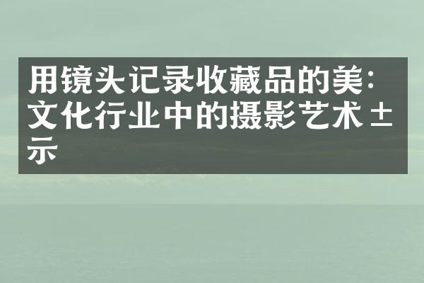 用镜头记录收藏品的美：文化行业中的摄影艺术展示