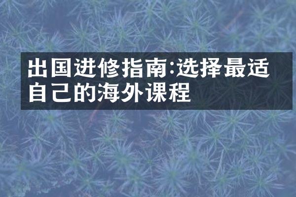 出国进修指南:选择最适合自己的海外课程