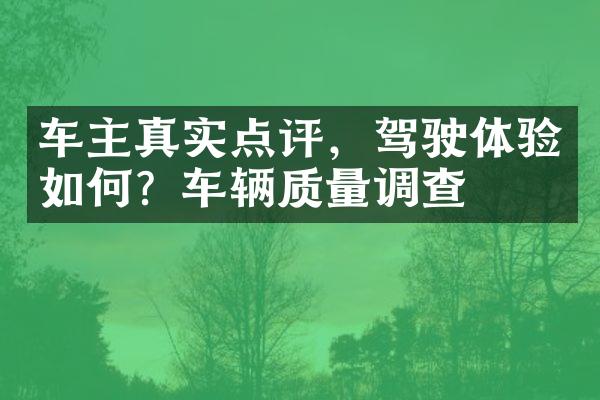 车主真实点评，驾驶体验如何？车辆质量调查