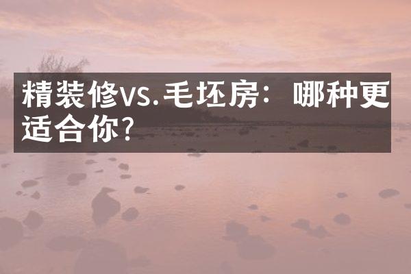 精装修vs.毛坯房：哪种更适合你？