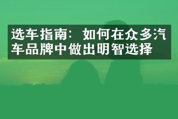 选车指南：如何在众多汽车品牌中做出明智选择？