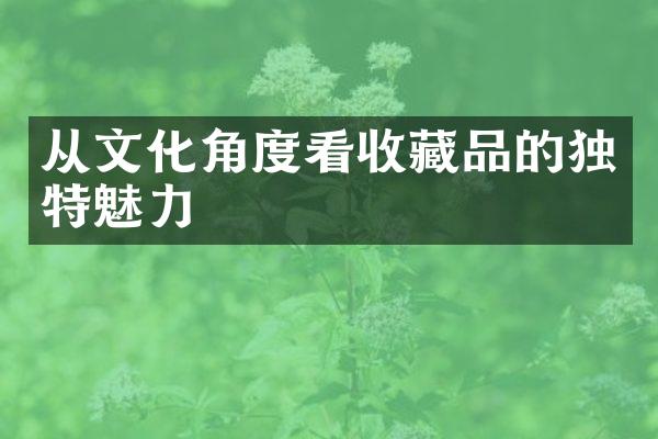 从文化角度看收藏品的独特魅力