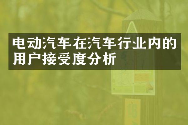 电动汽车在汽车行业内的用户接受度分析